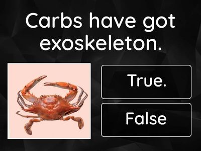 Cambridge Science Skills 2. Unit 3 Invertebrates.