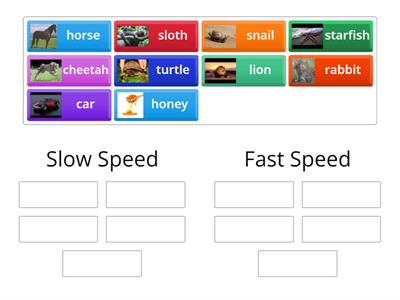 Slow vs Fast 