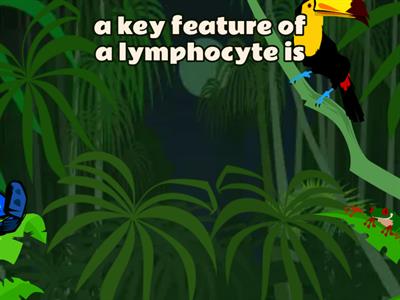 FFynone house: GCSE AQA blood cells y10 (flying fruit)