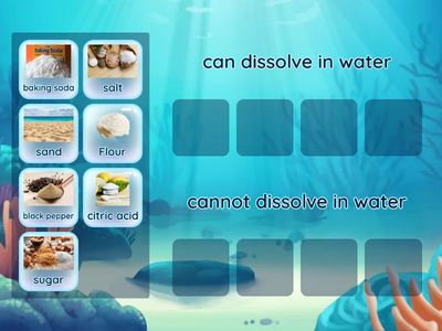 What can dissolve in water?