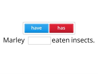 Present perfect (Affirmative & Negative)