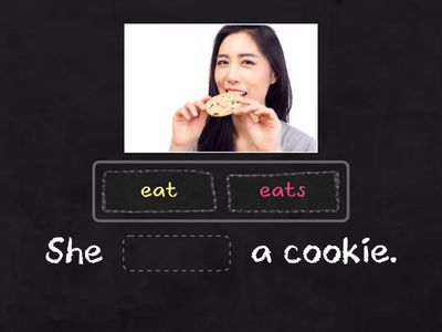 Simple Present Tense sentences