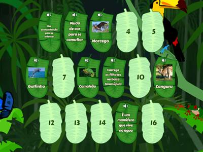 Animais, atividade ensino fundamental I