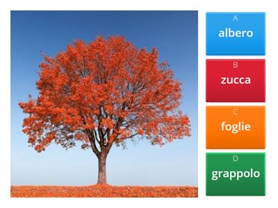  Autunno