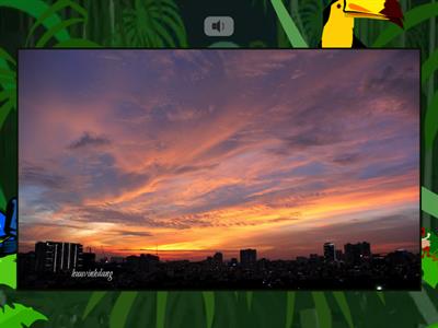 Light and Shadow (2)