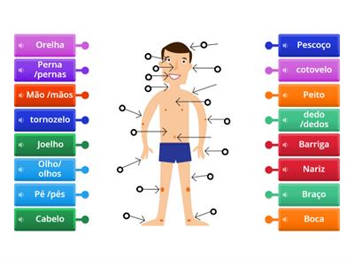 Partes do Corpo (PLE)