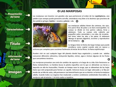 PARTES DEL TEXTO INFORMATIVO