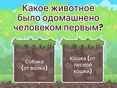 тест «Дикие и домашние животные»