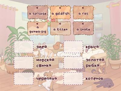 our pets (ачасова 3 класс)