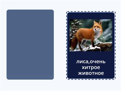 времена года