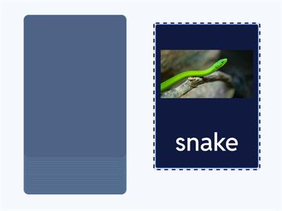 Лиза алфавит 