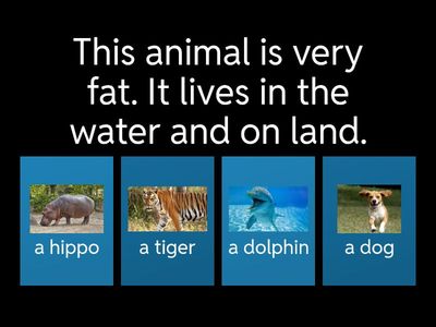 Learnaling 2.7 Different Animals