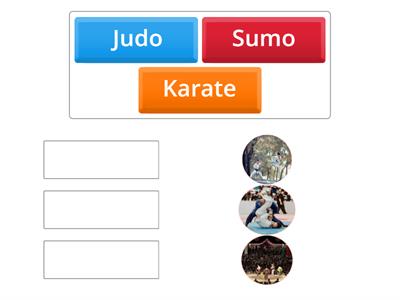 Japanese Martial Arts