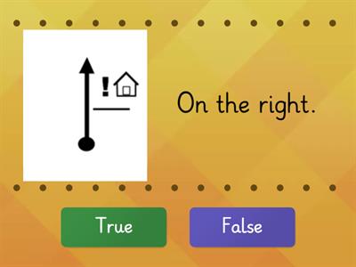 Directions - True/False