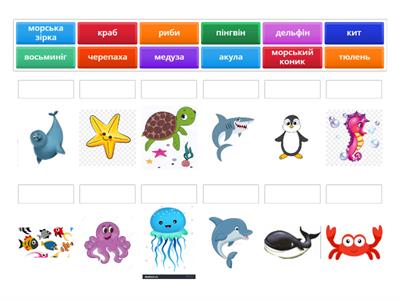 Морські жителі 🐠