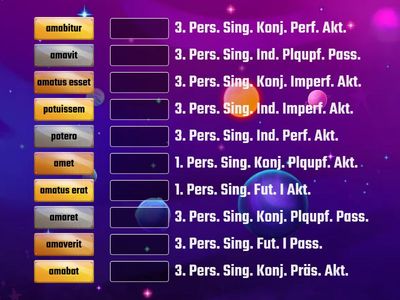 Bestimmungsübung Ponticulus L 30