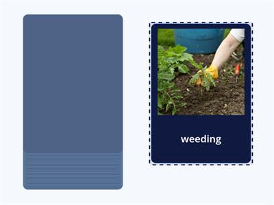  4.7 ee    Word Card Practice                     HOZ 