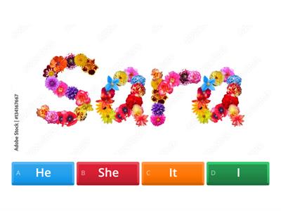 Personal Pronouns - Singular - Words