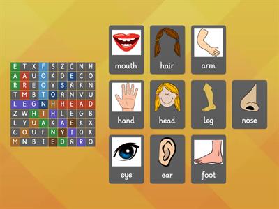 Wordsearch body parts