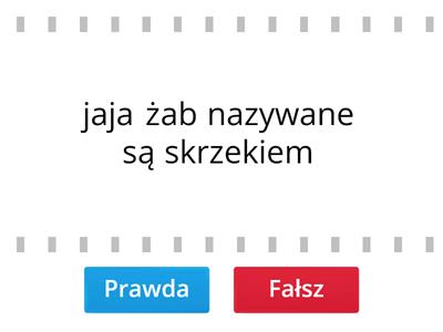 Płazy