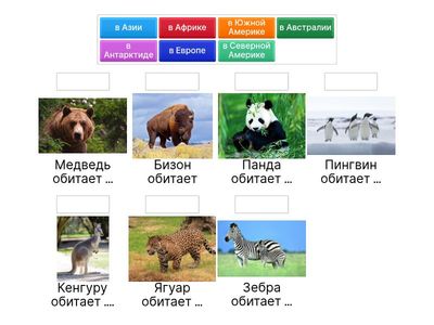 Missä eläin asuu? Где животное обитает?_CLIL_virkkeet