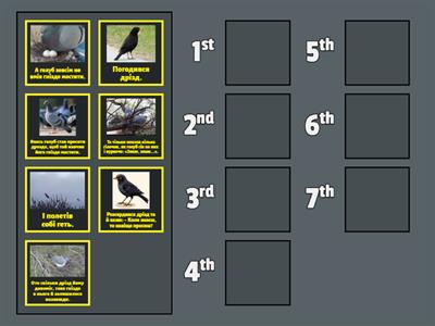 Як голуб гніздо будував