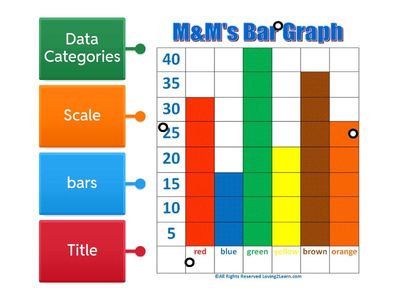 Bar graphs 