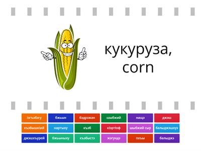 Овощи. Vegetables.