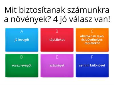 Növények a környezetünkben 4.osztály