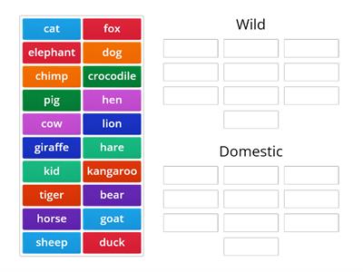 Wild and Domestic Animals