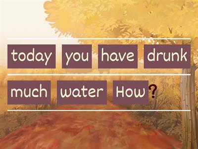 Present Perfect  - questions