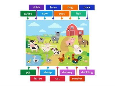 Farm animals