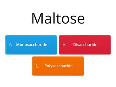 Classify the following sugars into each proper types of carbohydrates