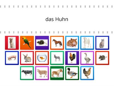 6_1_2b. (III) Viele Tiere auf dem Bauernhof. 3.Klasse