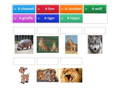 Wild Animals 1 quiz