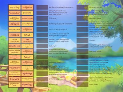 Phonics and Decoding 