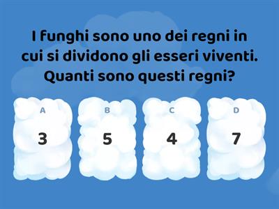 I FUNGHI - CLASSE IV SCUOLA PRIMARIA