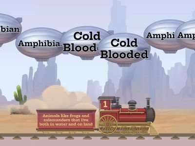 Meteor B-Vocabulary Week 28