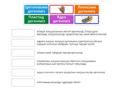 Органоидтар