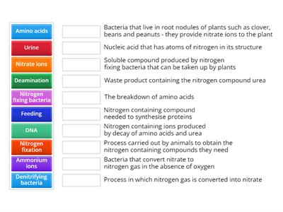 IGCSE Nitrogen cycle