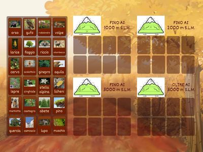 Flora e Fauna in Montagna