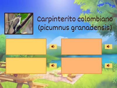 Reconocimiento Canto de Aves 