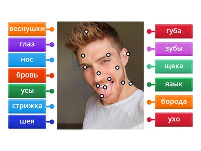 Этажи. Глава 2. Часть 1. Лицо