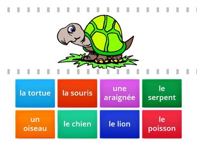 les animaux JO unité 4