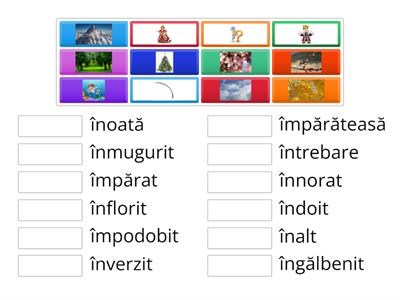 Litera "î” în cuvinte