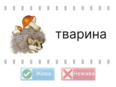 Жива та нежива природа