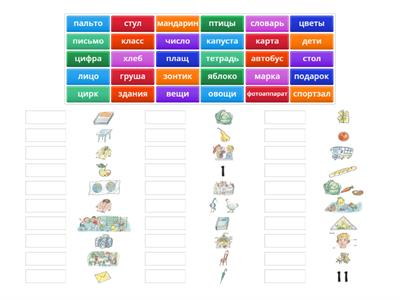 Y8 Vocabulary 1.2