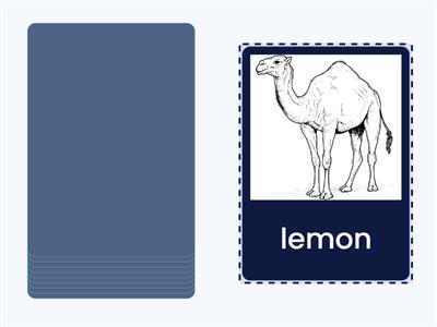  CAMEL and RABBIT Words 