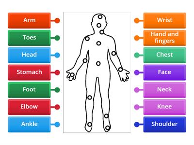 Pt6- Body parts