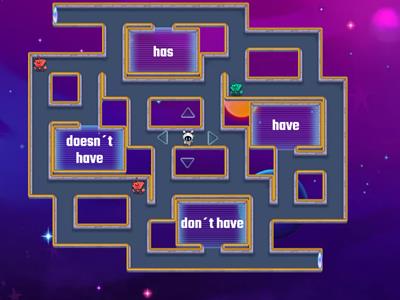 have or has MAZE CHASE